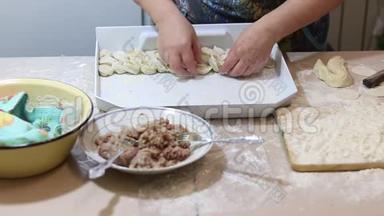 自制肉汤圆.. 包饺子。 饺子与碎肉雕刻在厨房做饭。 准备自制的饺子。 方案